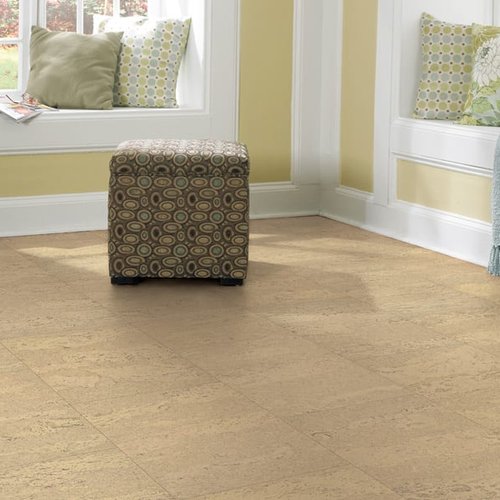 Bright San Diego home with cork flooring