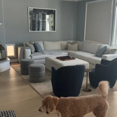 Pet friendly wood flooring in San Diego CA