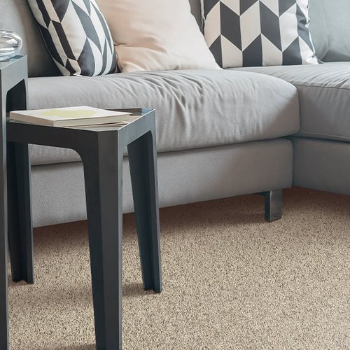 Comfy sofa in a San Diego home with grey carpet flooring
