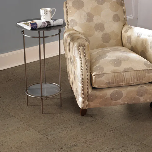 Traditional style home with armchair and cork flooring
